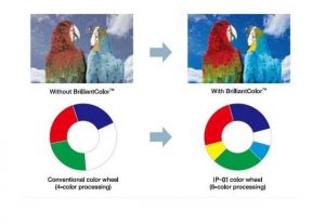 Brilliant-Color